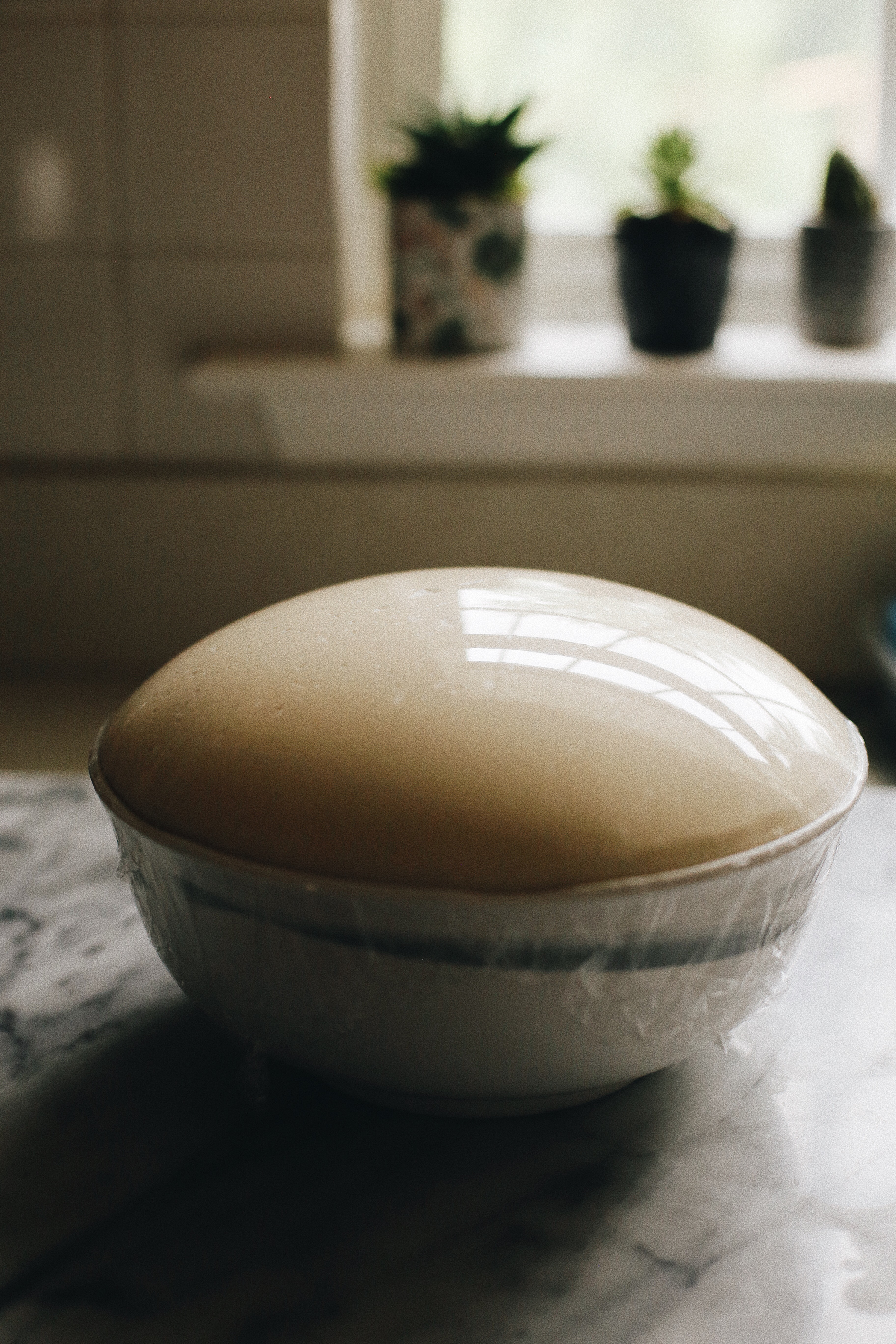 how the tangzhong milk bread dough looks after first rise. 